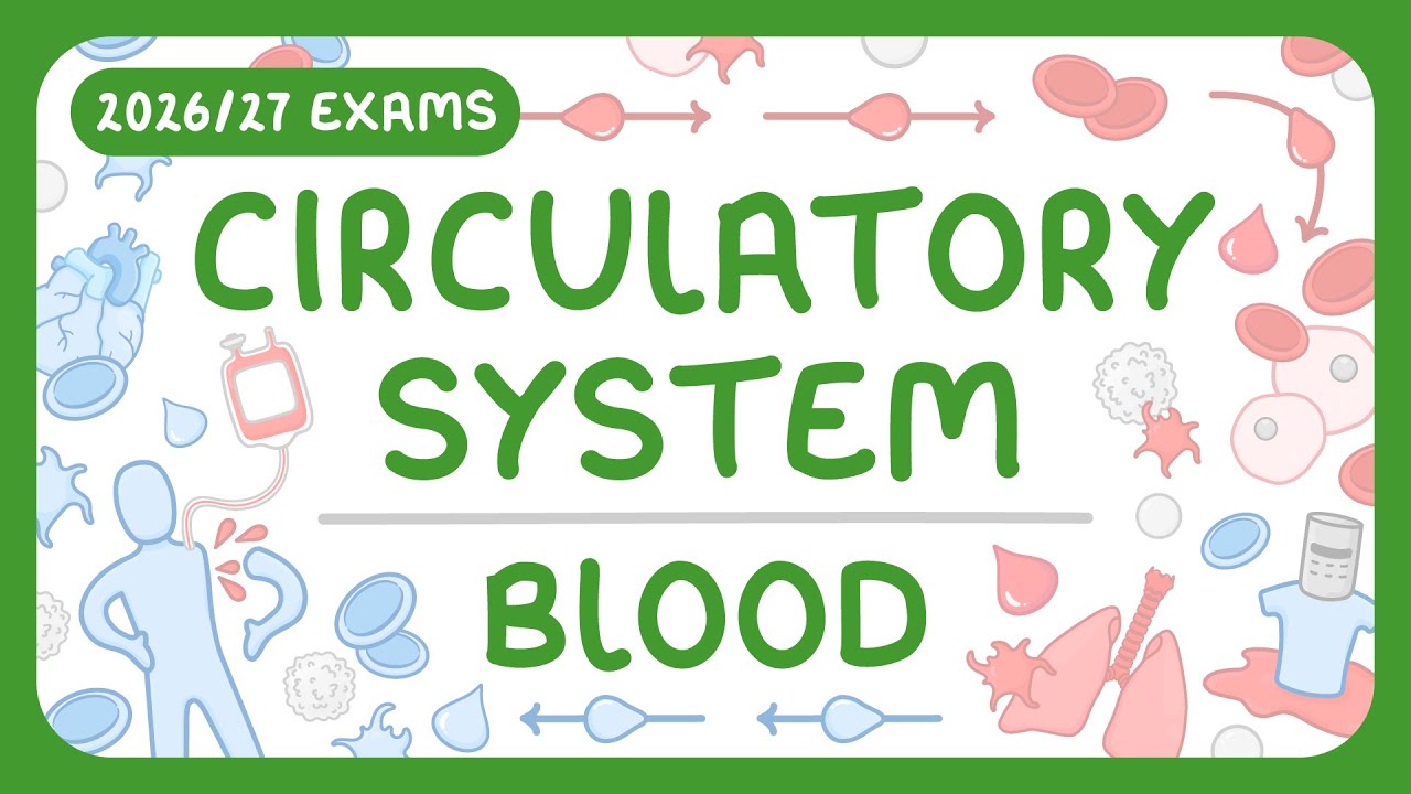 Blood Components Explained & Transfusion Options Compared