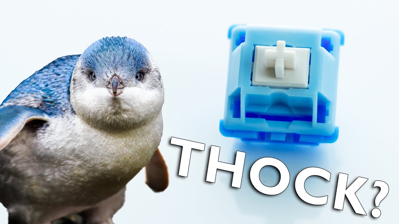 Kinetic Labs Penguin Switches Review: Lubing Guide & Sound Test