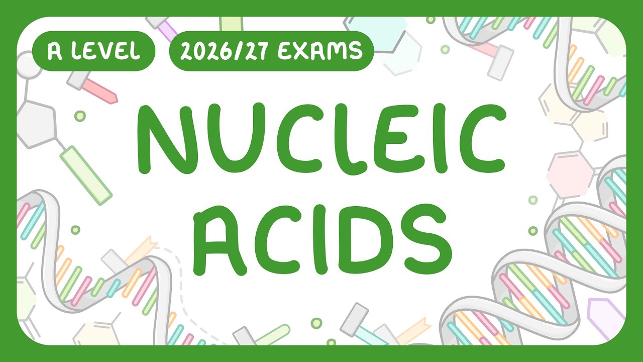 Master Nucleic Acids: DNA & RNA Structure and Function Explained