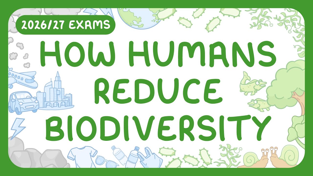 Why Biodiversity Matters for Human Survival