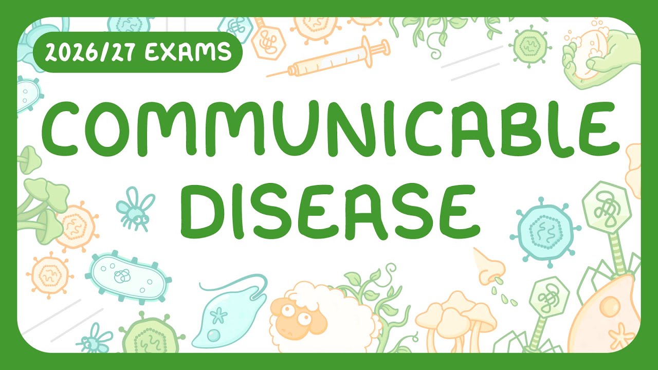 How Pathogens Spread and Effective Prevention Strategies