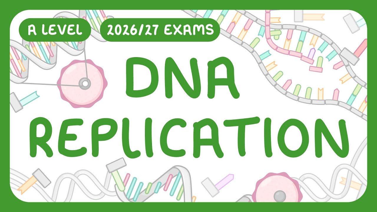 DNA Replication Explained: How Cells Copy Genetic Material