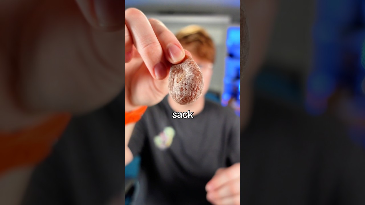 Japanese Snack Mystery Box Unboxing: Honest Review & Surprises