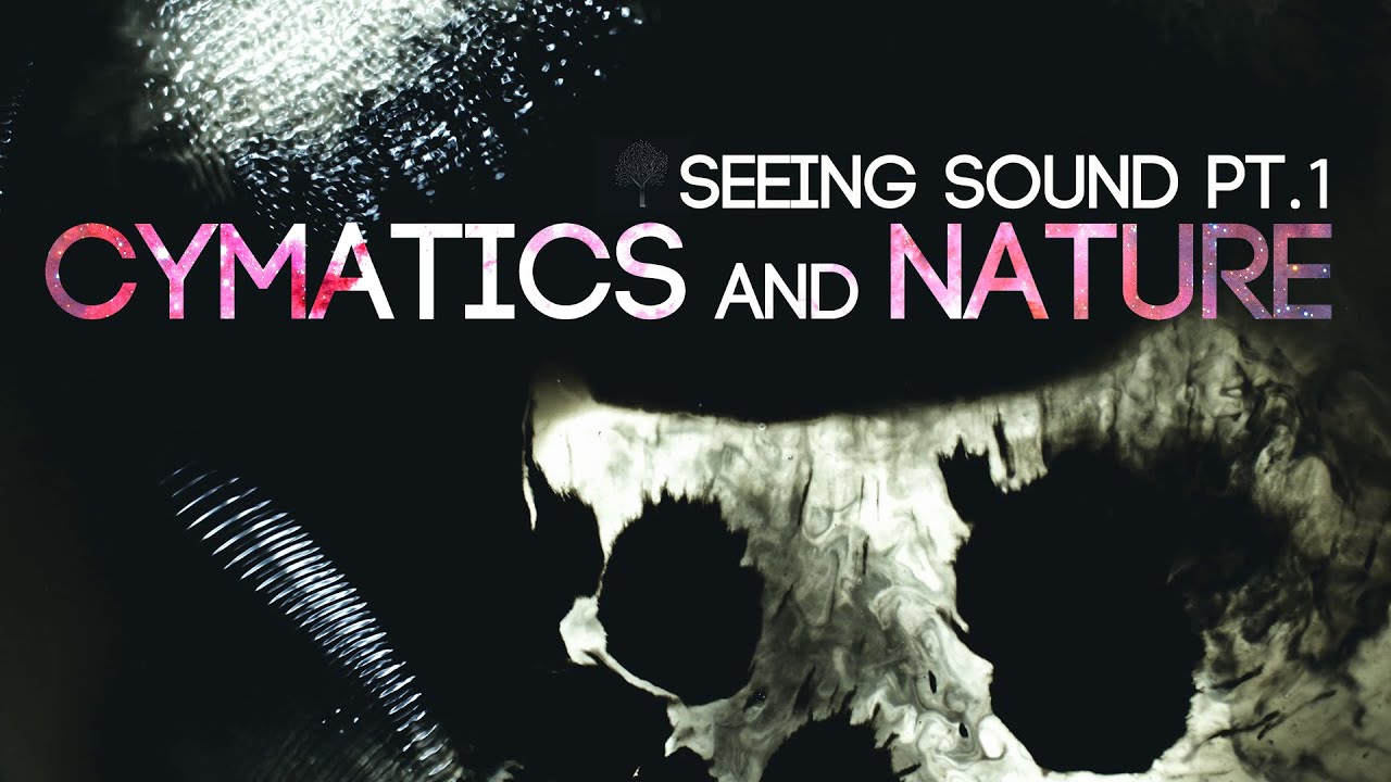 Seeing Sound: The Science of Nodal Patterns Revealed