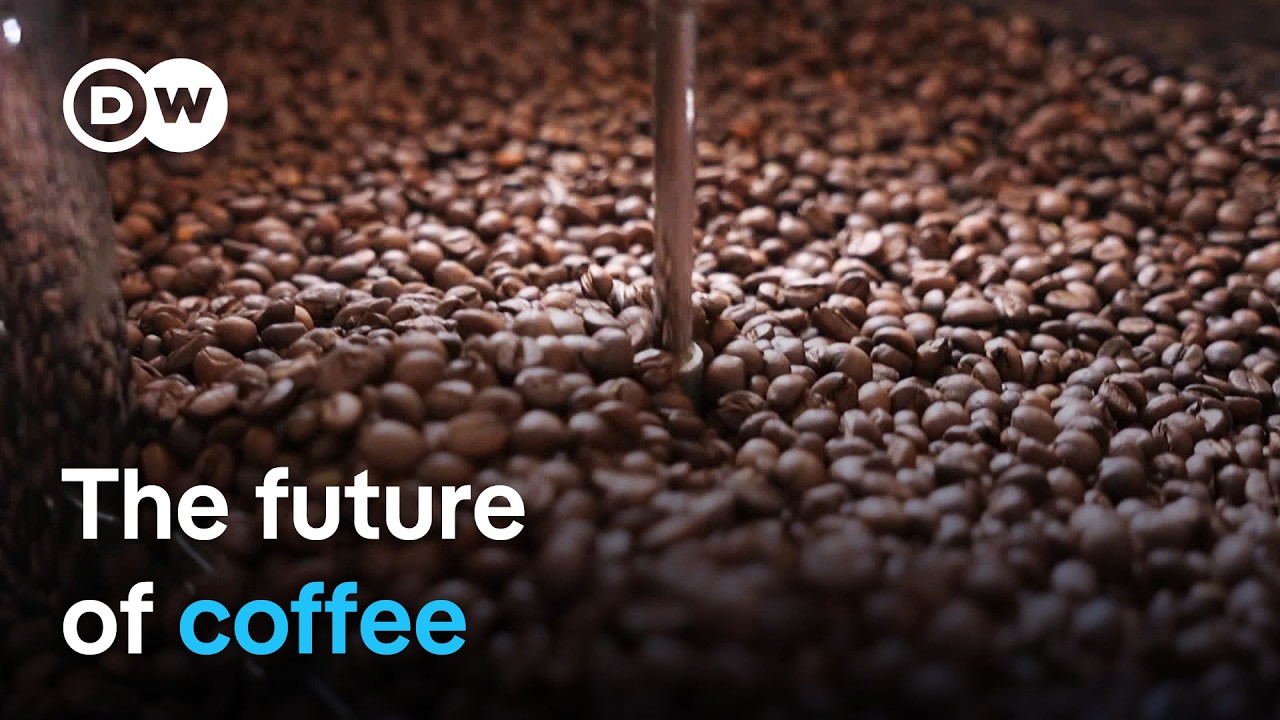 Saving Coffee From Climate Change: 3 Proven Solutions