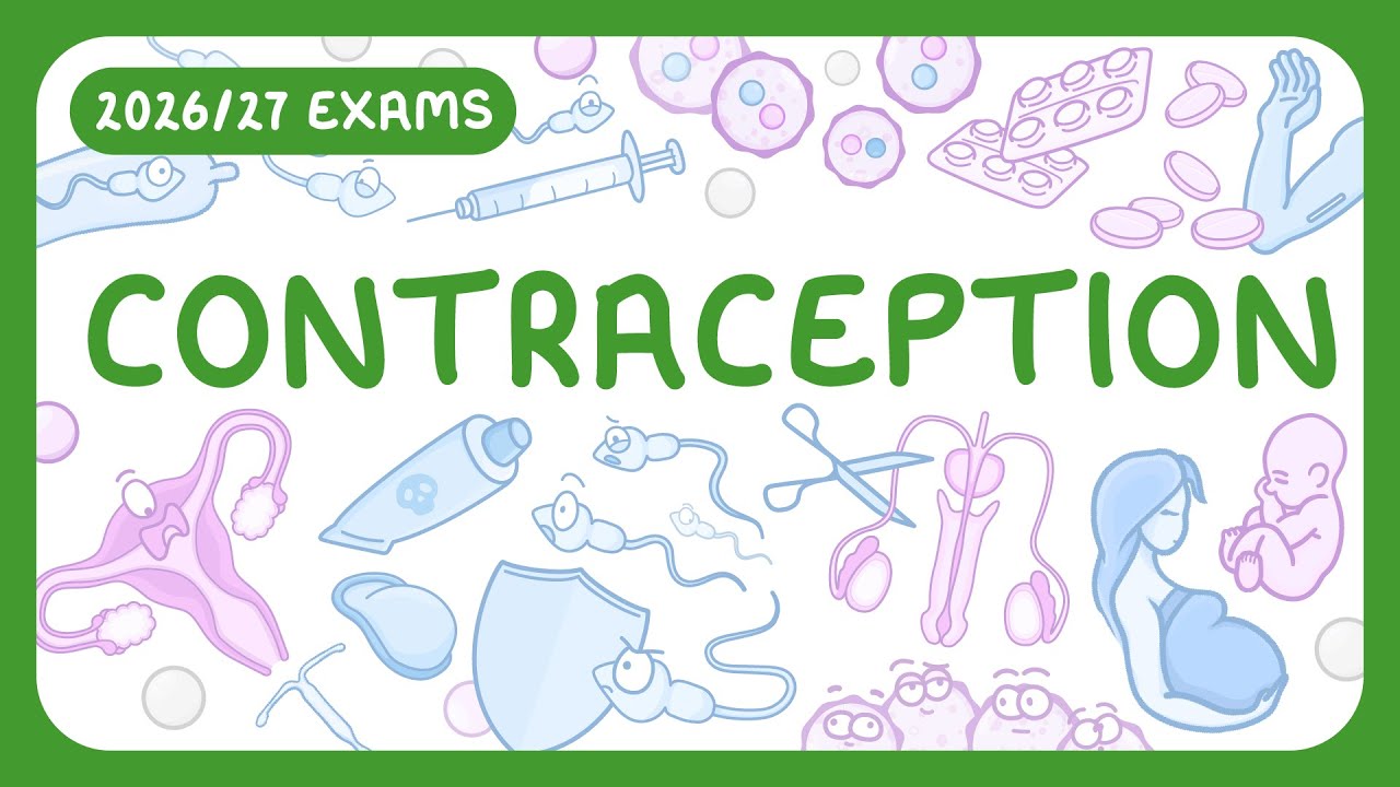 Contraception Methods Explained: Types, Effectiveness & How They Work