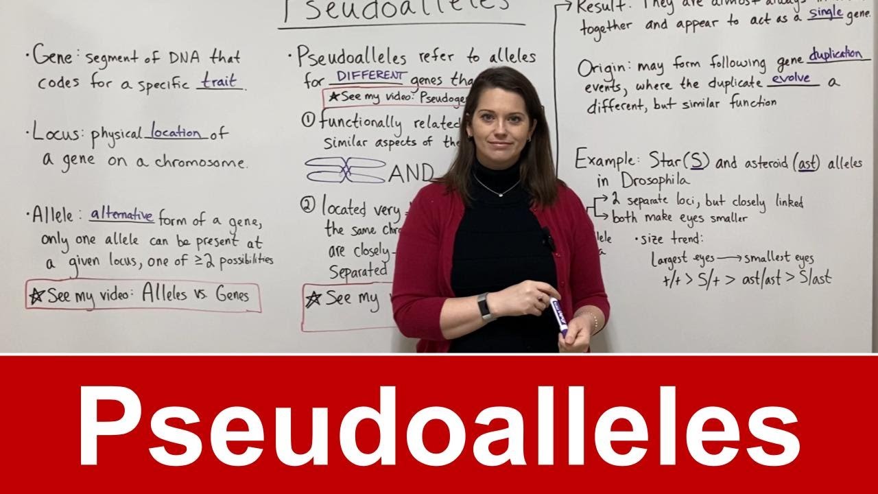 Pseudoalleles Explained: Genetics Guide with Examples