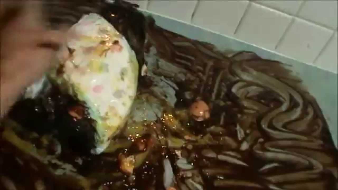 Error: Incomplete Transcript Provided