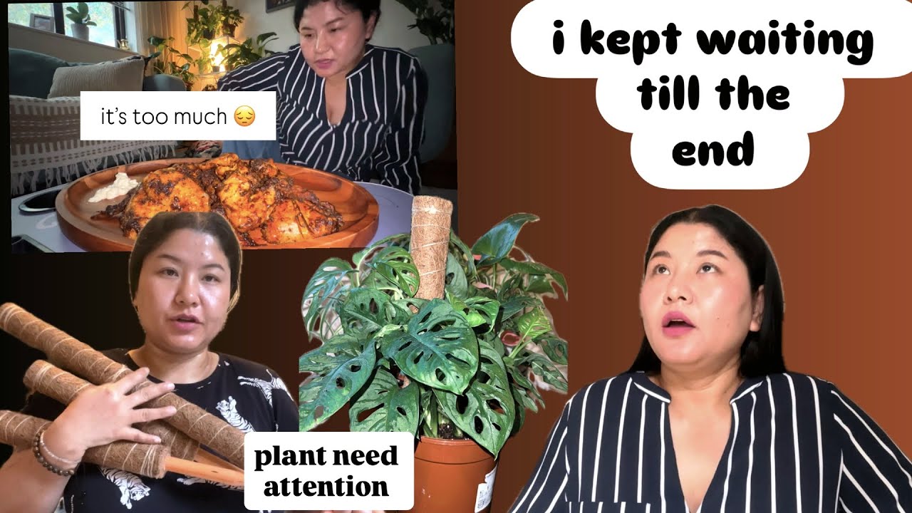 Essential Daily Plant Care Routine for Healthy Growth