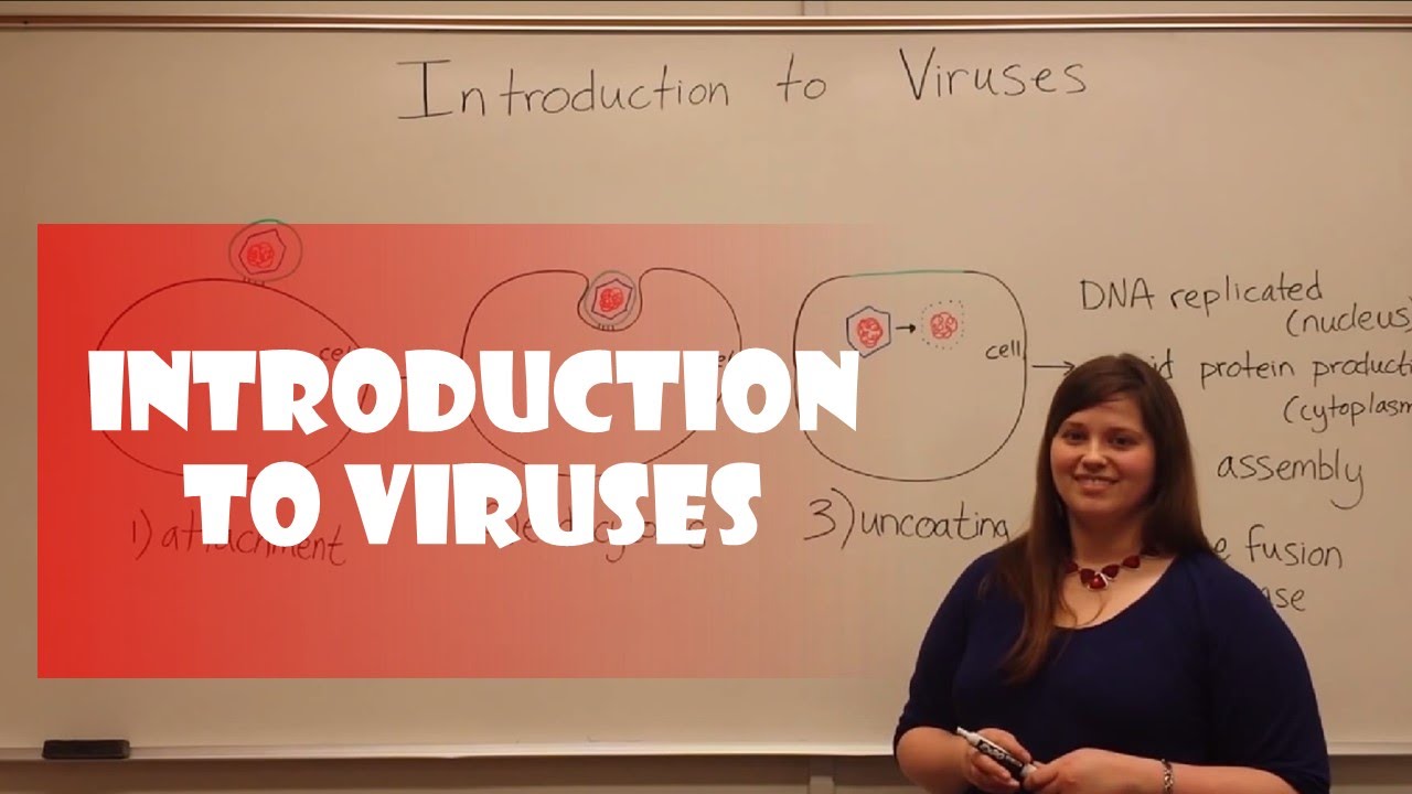 Are Viruses Alive? Structure, Replication & Impact