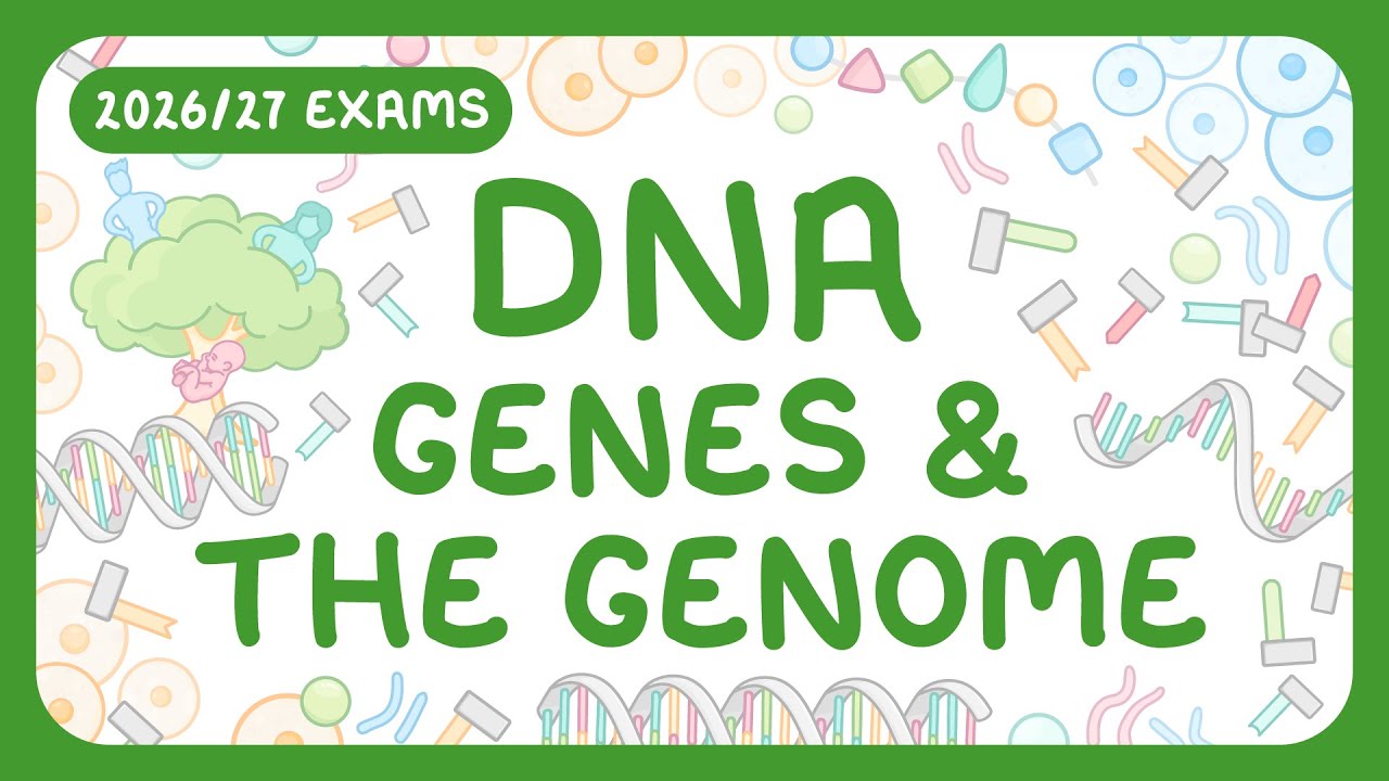 DNA, Genes, Chromosomes & Genomes Explained Simply