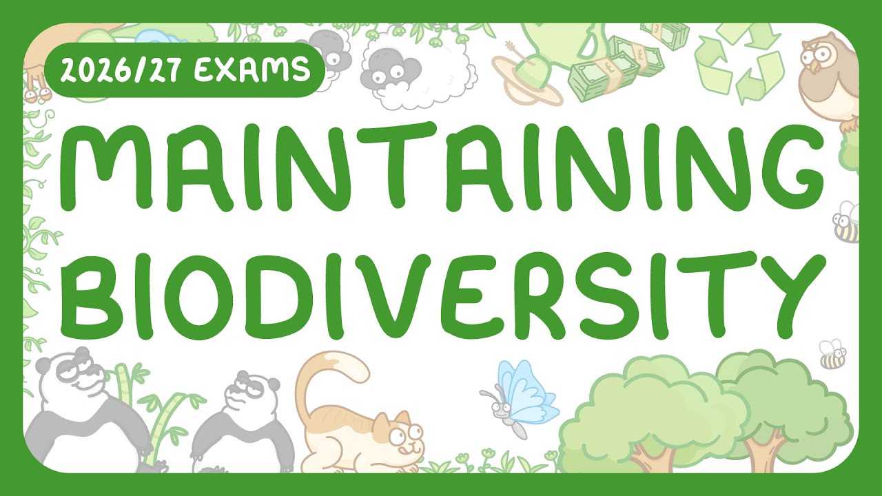 Effective Biodiversity Restoration Strategies: Science-Backed Solutions