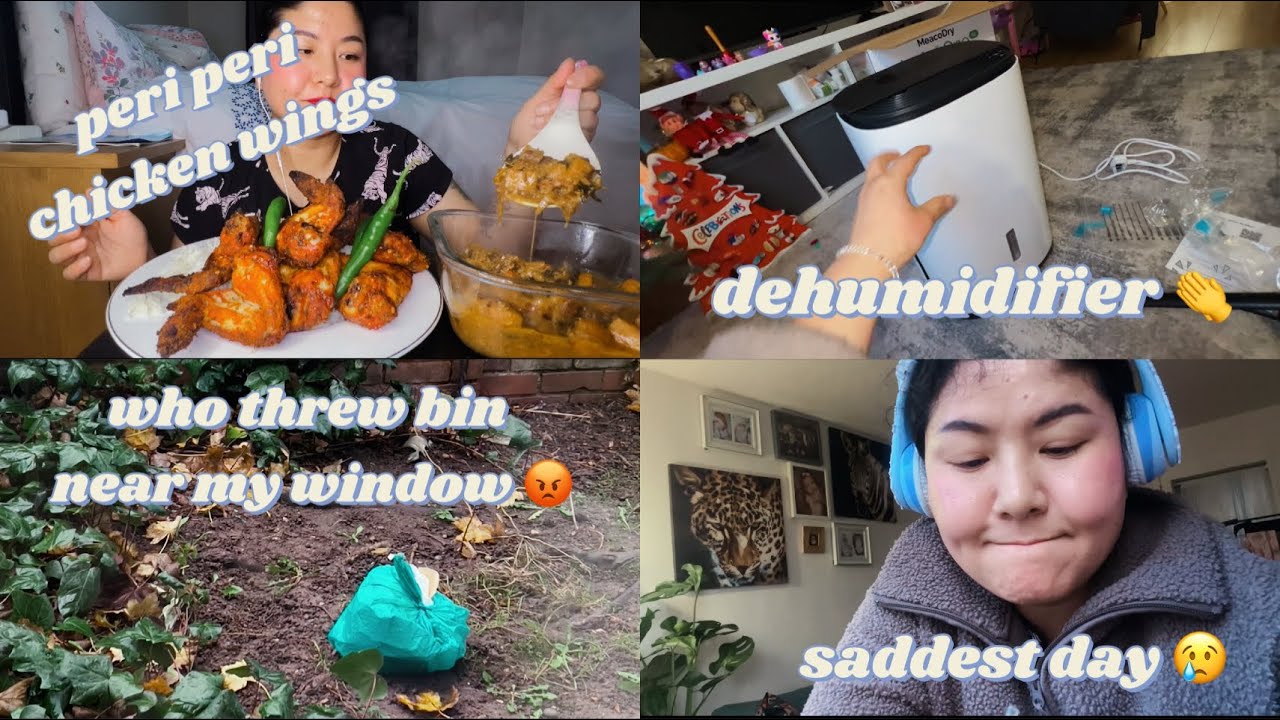 How to Set Up a Dehumidifier and Manage Bill Stress