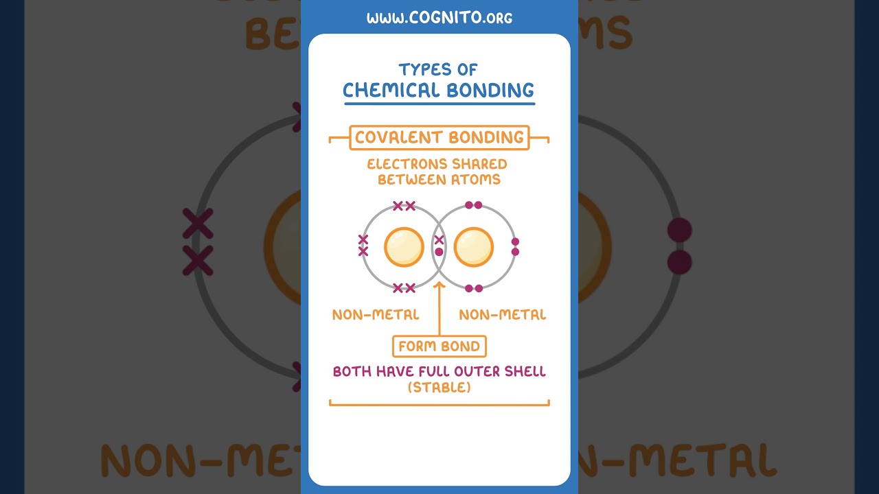 Ionic vs Covalent vs Metallic Bonds: Key Differences Explained