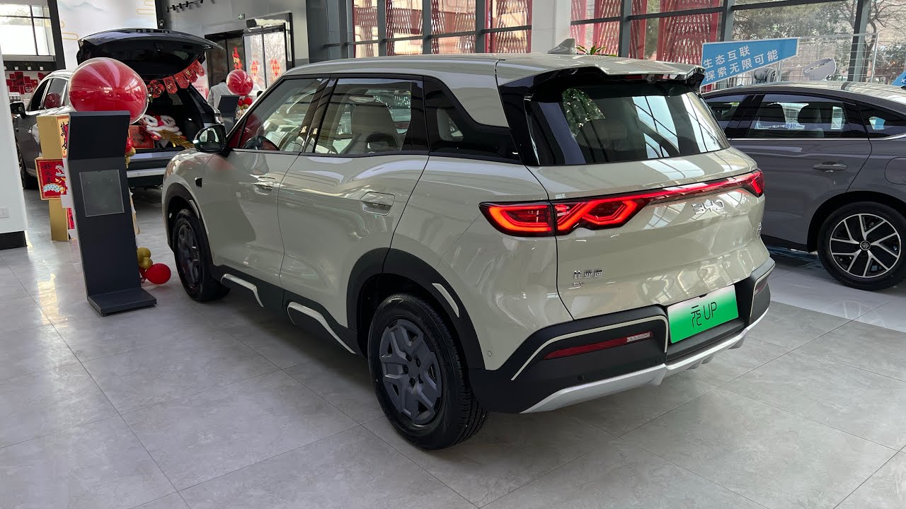 DYD UNF EV Buyer's Guide: Prices, Range & Export Process