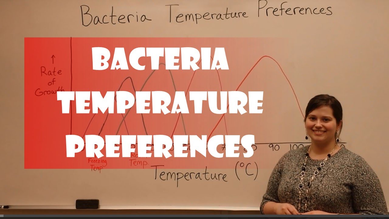 Bacterial Temperature Classifications: Growth & Control Guide