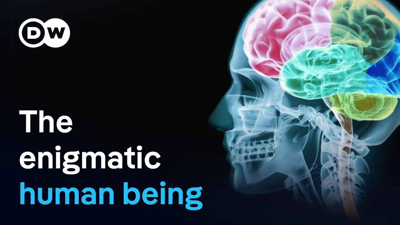 Why Human Imagination Is Our Evolutionary Secret Weapon