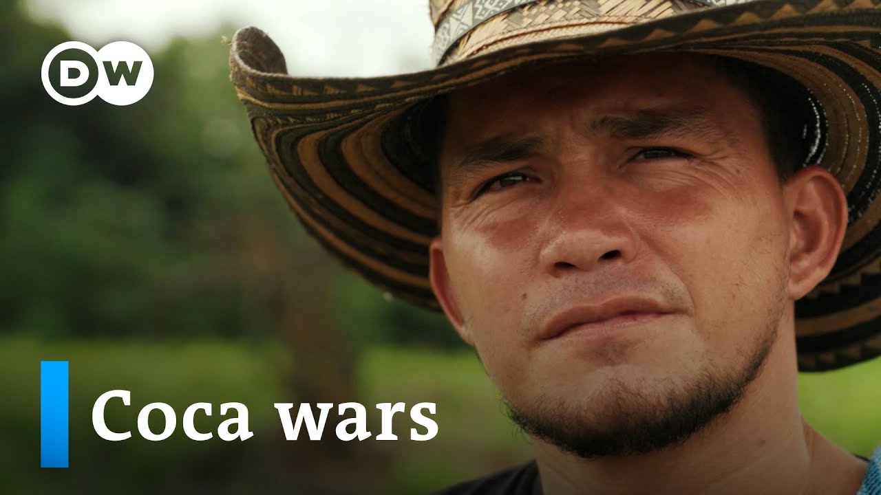Colombia Coca Crisis: Farmers Face Collapse as Buyers Vanish
