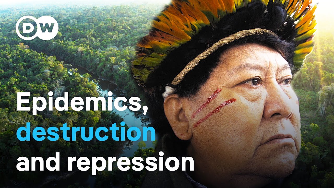 Yanomami Sky Falling Metaphor Meaning Explained