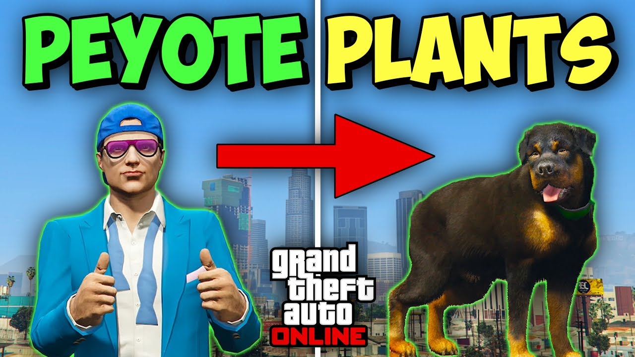 Master GTA Online Peyote Plants: Animal Transformations & PvP Tactics