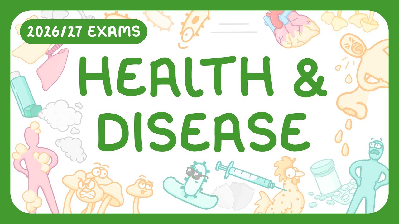 Understanding Health, Disease Types & Key Interactions