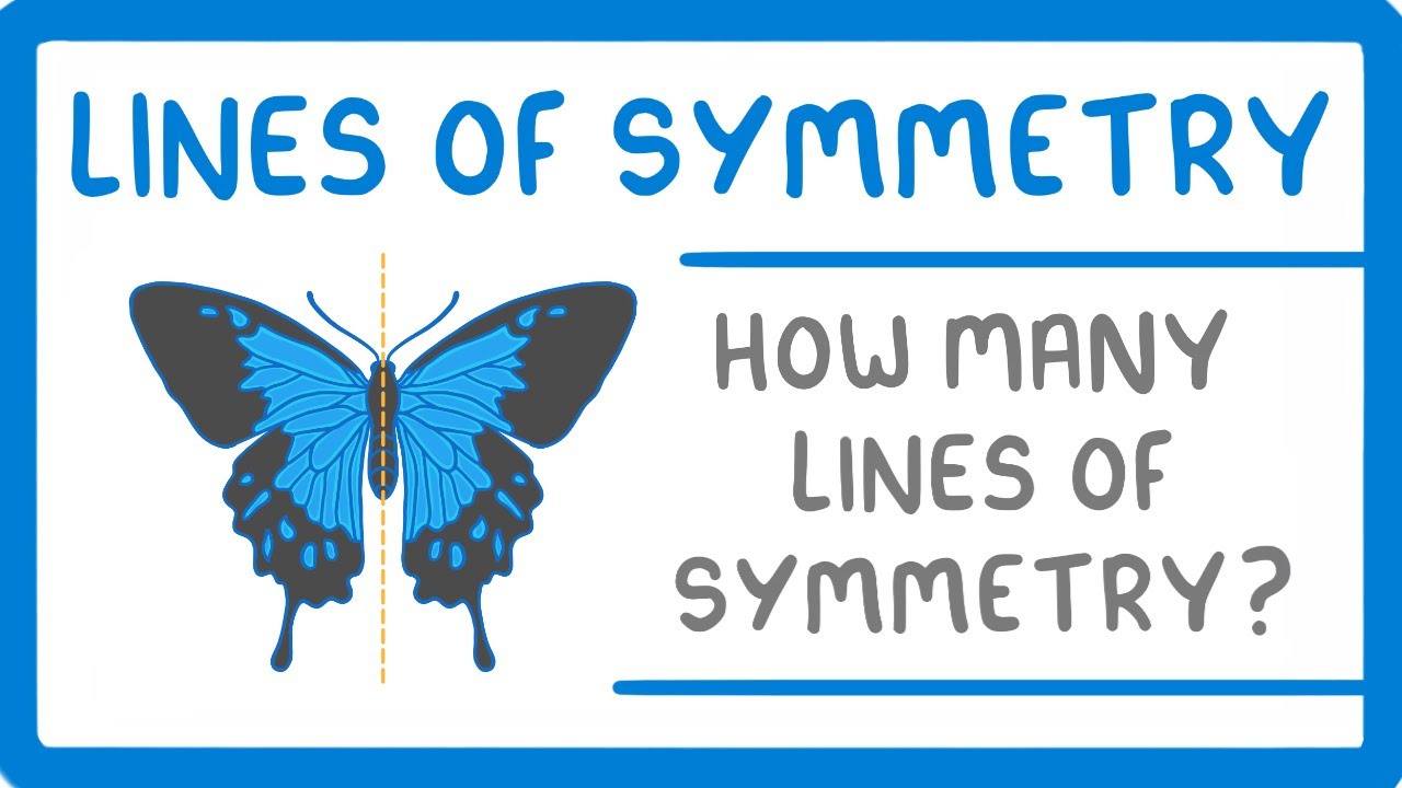 Mastering Lines of Symmetry in Shapes: Visual Guide