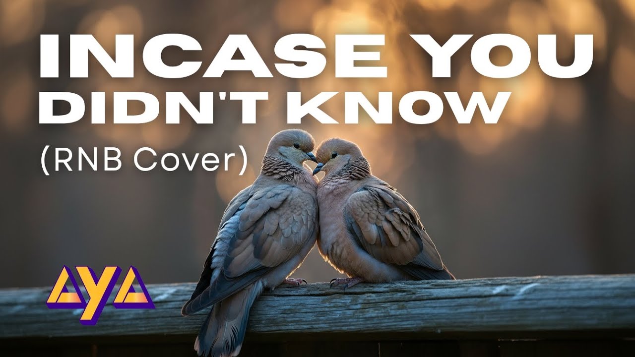 In Case You Didn't Know Song Meaning & Emotional Analysis