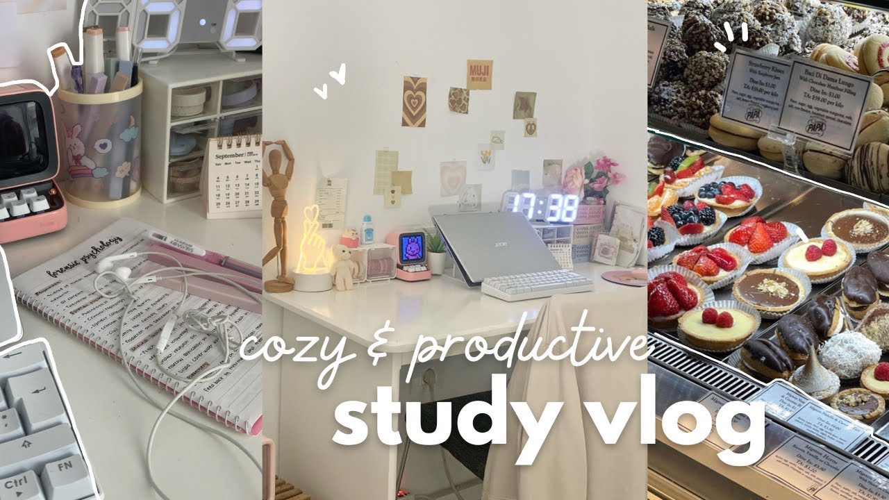 Understanding Video Transcripts: When Content Is Unavailable