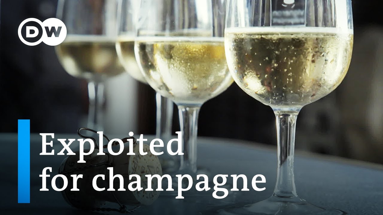 Champagne Labor Exploitation: The Hidden Truth Behind Luxury Bubbles