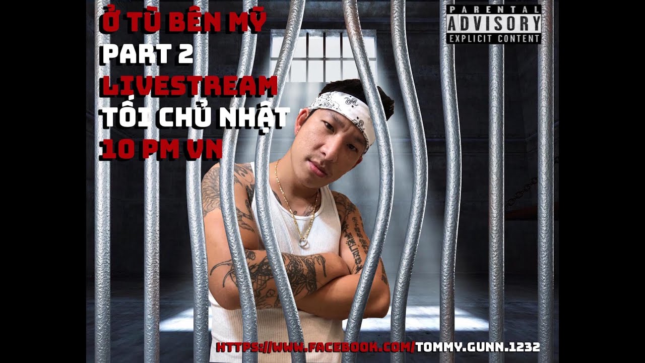 Vietnamese Prison System Insights: Structure, Challenges & Survival