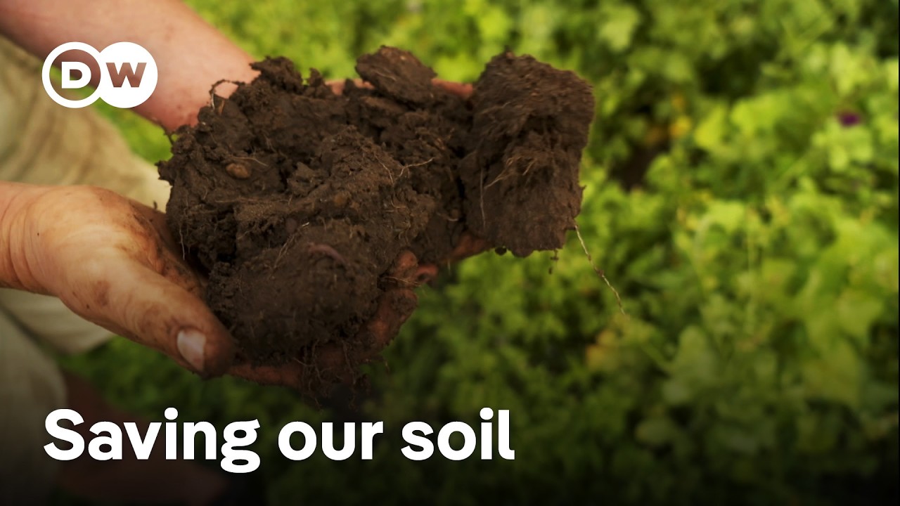 Regenerative Farming Solutions for Degraded Soil in Germany