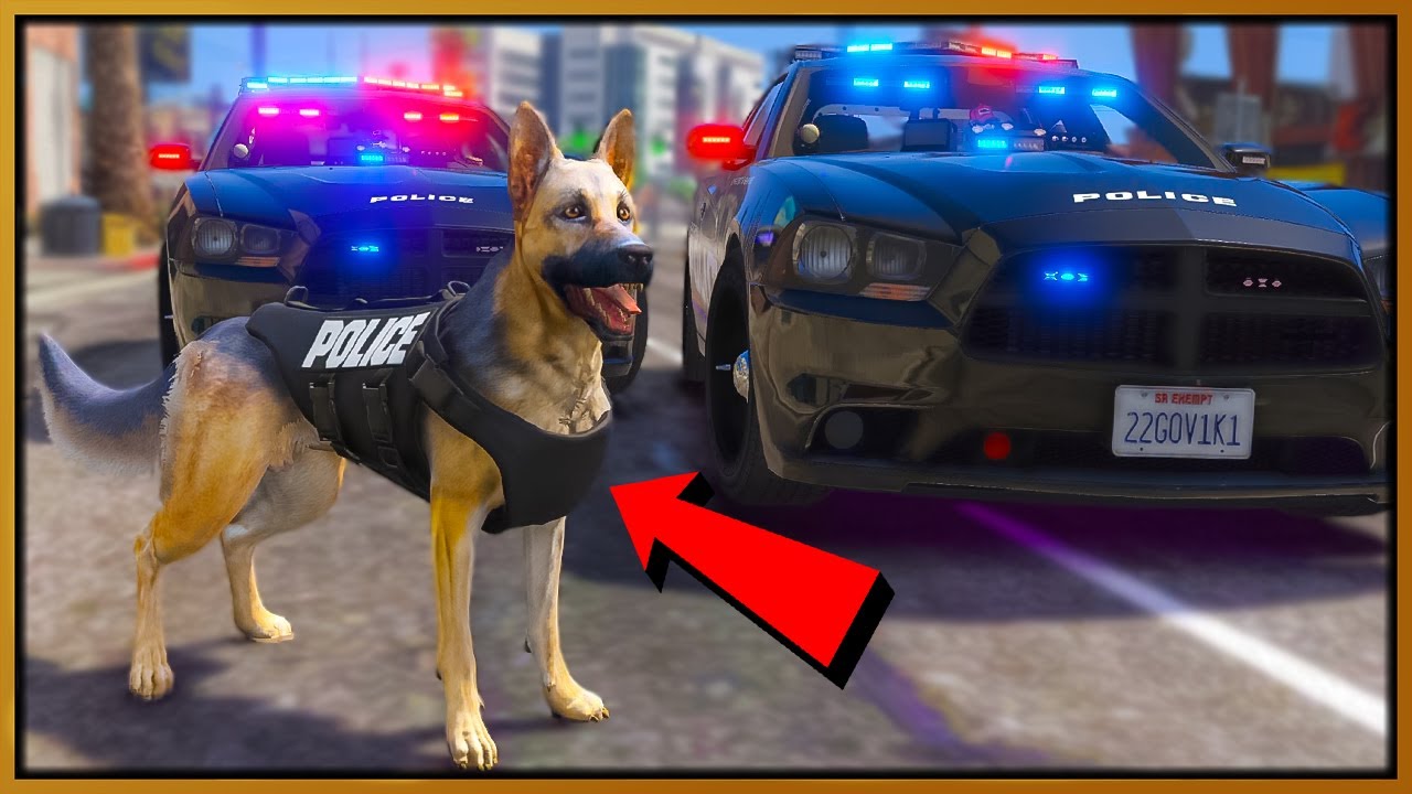 Turning into Animals in GTA 5: Ultimate Chaos Mod Experience