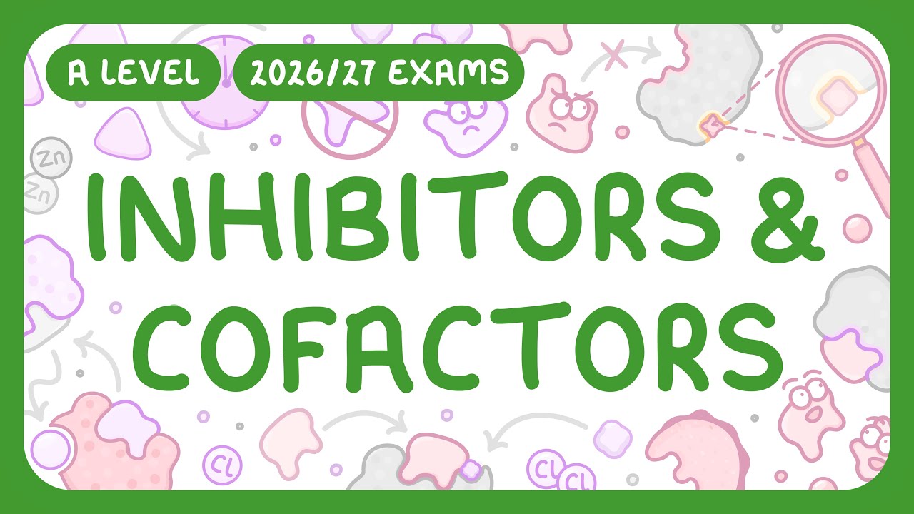 Master Enzyme Inhibitors & Cofactors: Regulation Explained