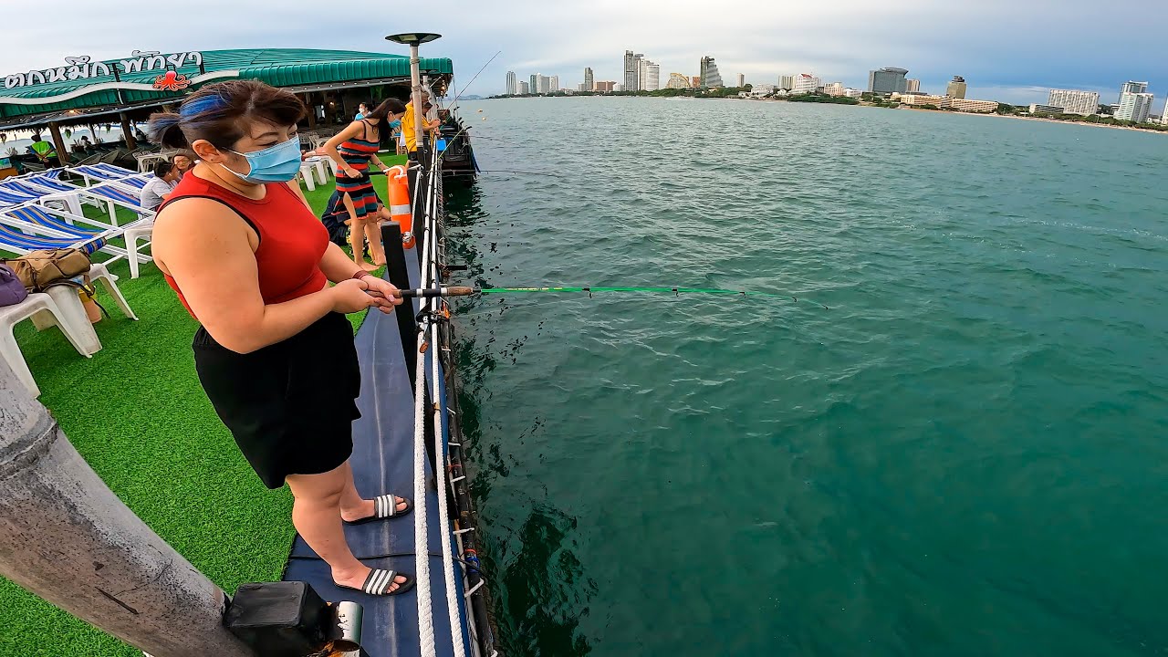 Squid Fishing Restaurant: Ultimate Guide to Food & Experience