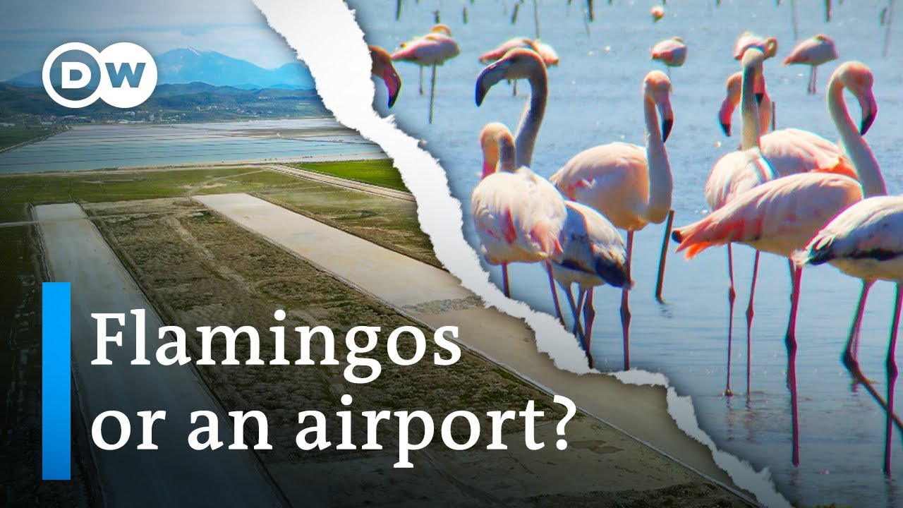 Narta Lagoon Airport Threat: Albania's Bird Sanctuary at Risk
