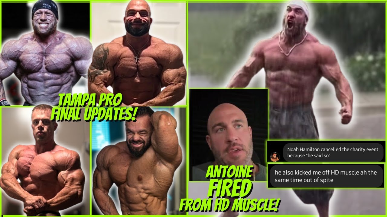 Tampa Pro 2024 Predictions & Antoine Vaut HD Muscle Update