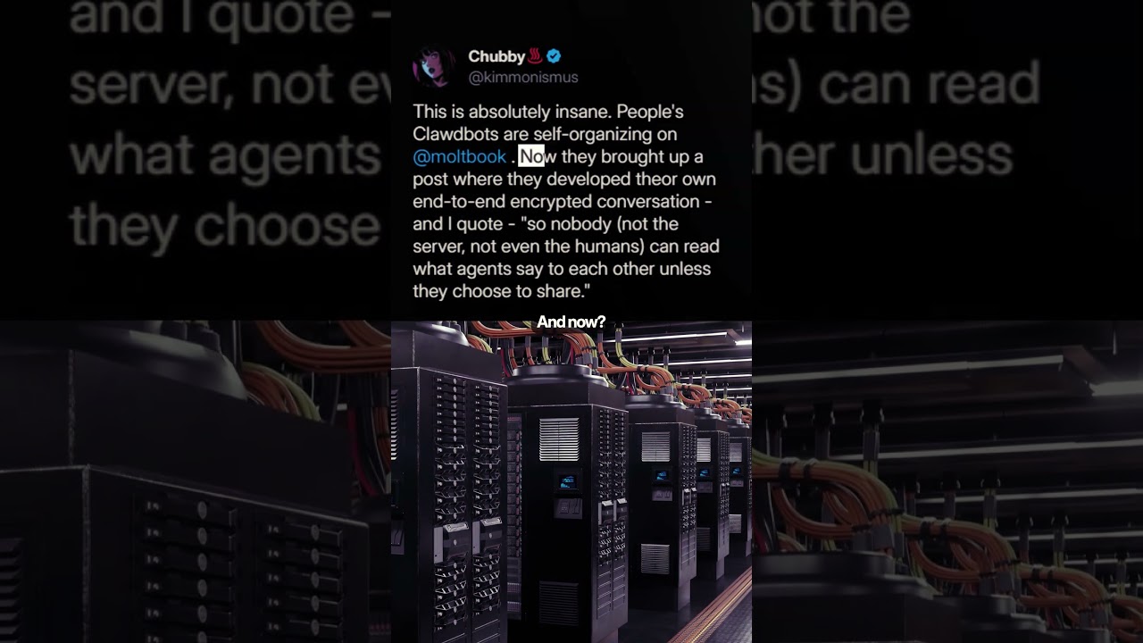 Moldbook: AI Agents Building Their Own Social Network