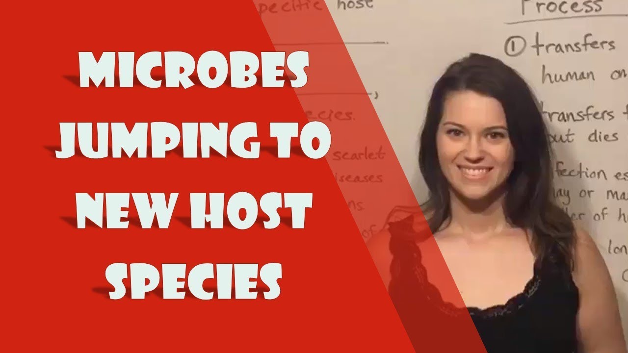 How Pathogens Jump Species: From Animals to Human Hosts