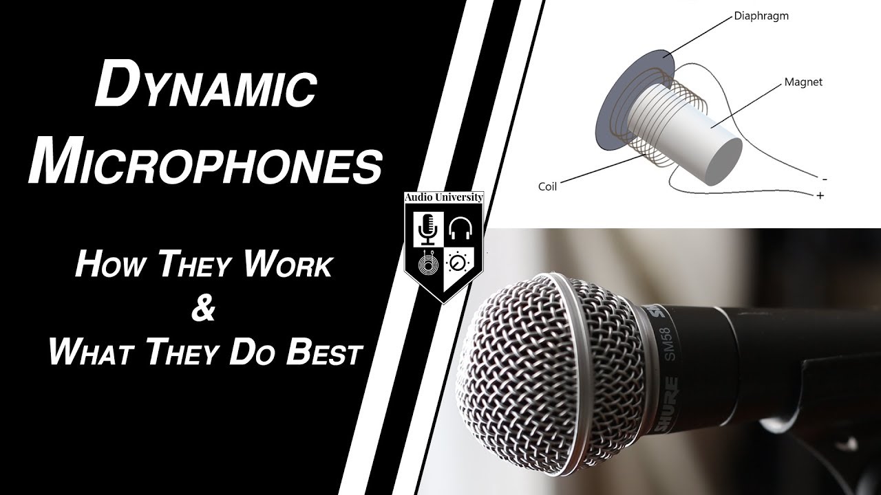 Dynamic Mics Explained: How They Work & Best Uses