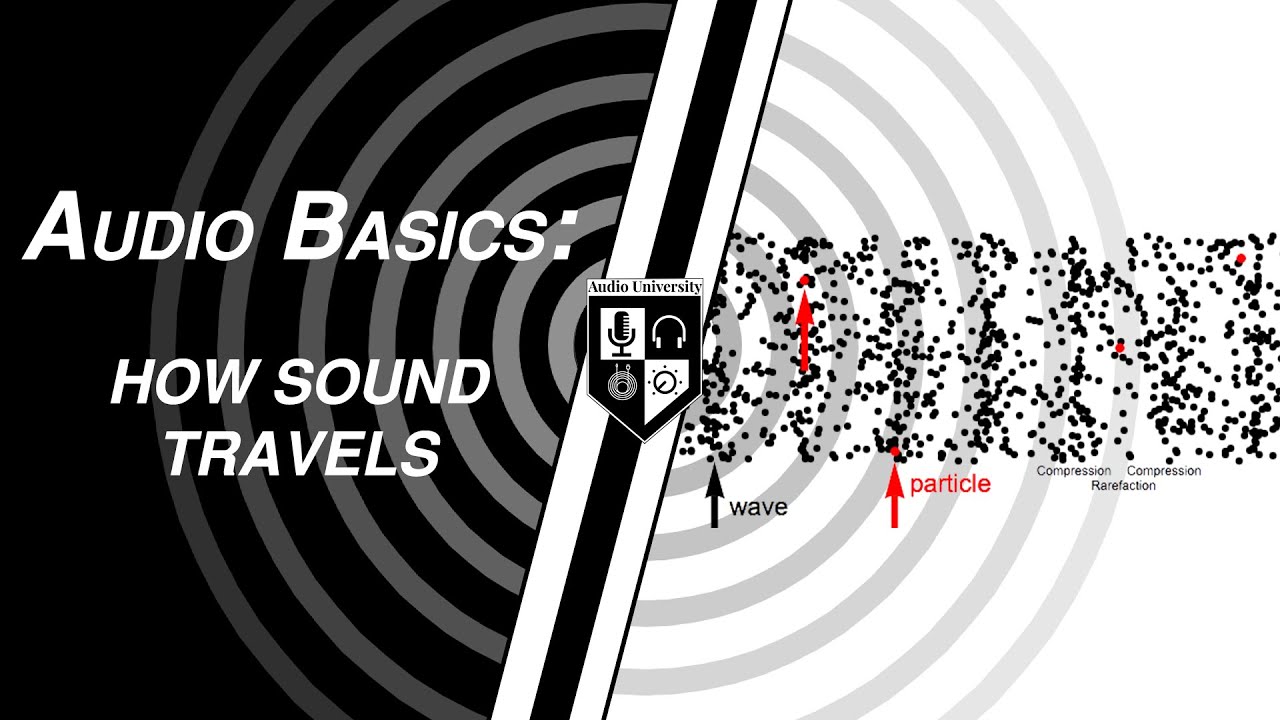 Sound Waves Explained: A Beginner's Guide to Audio Fundamentals
