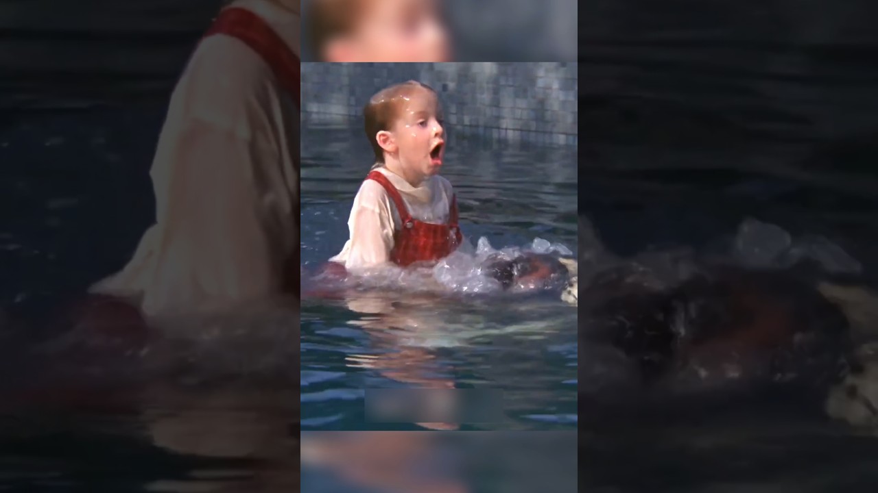 Hero Dog Saves Kids, Faces Unjust Betrayal: Full Story