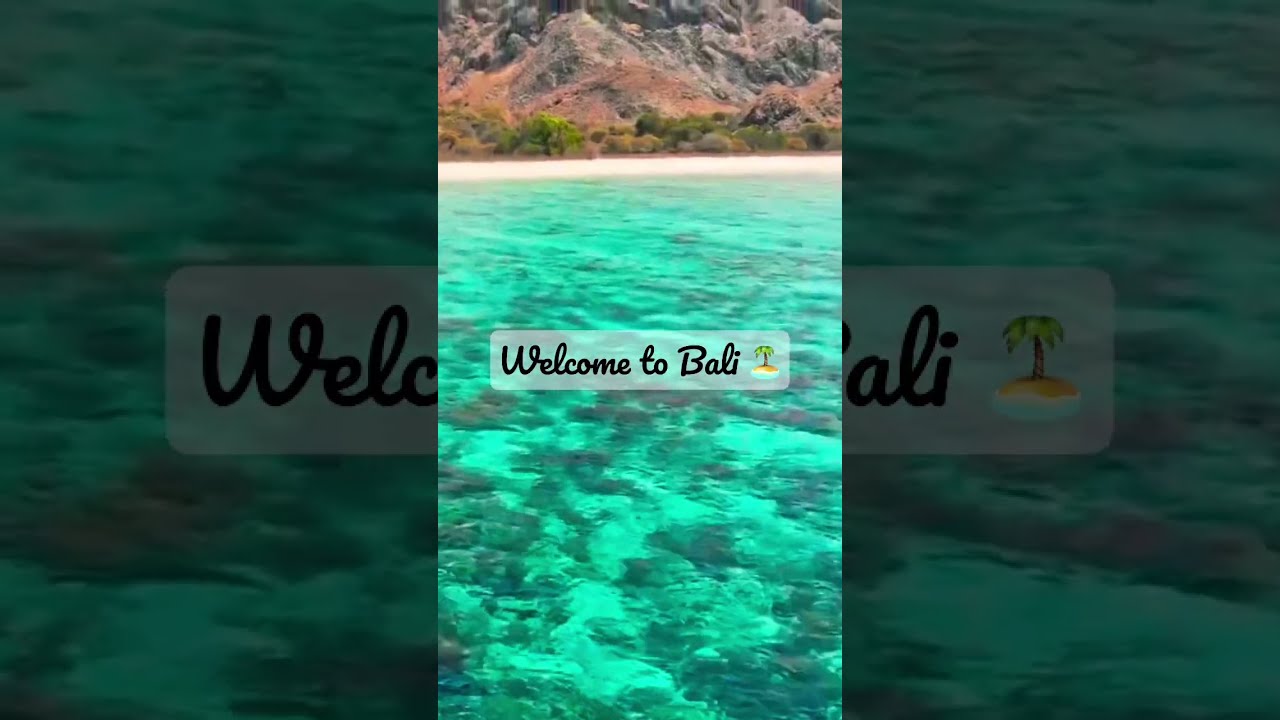 Bali Travel Guide: Luxury to Budget Experiences (2024)