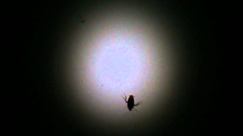 Video Content to Article Conversion Guide