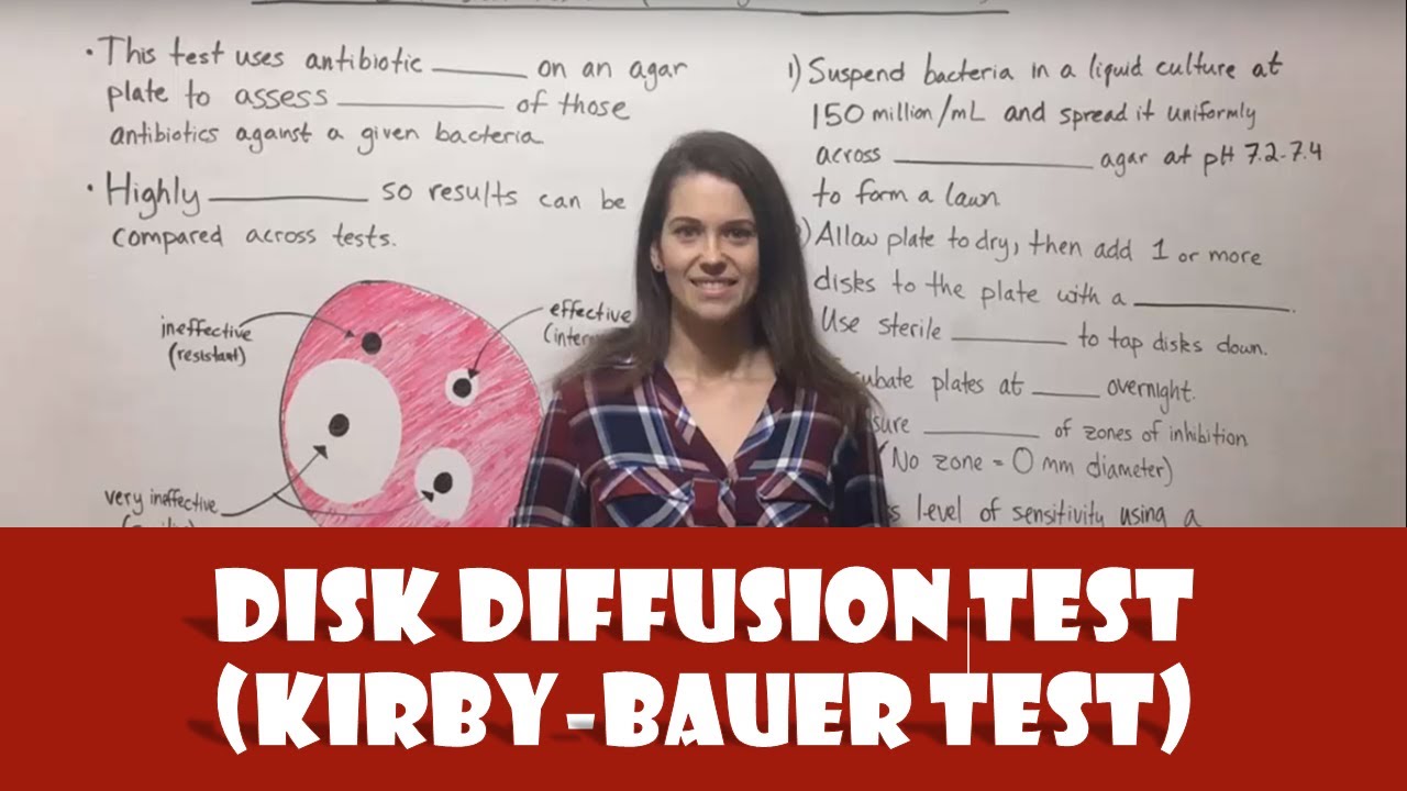 Kirby-Bauer Test Guide: Mastering Antibiotic Sensitivity Testing