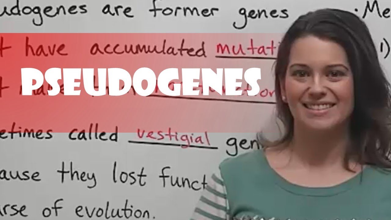 Pseudogenes Explained: Non-Functional Genes With Surprising Roles