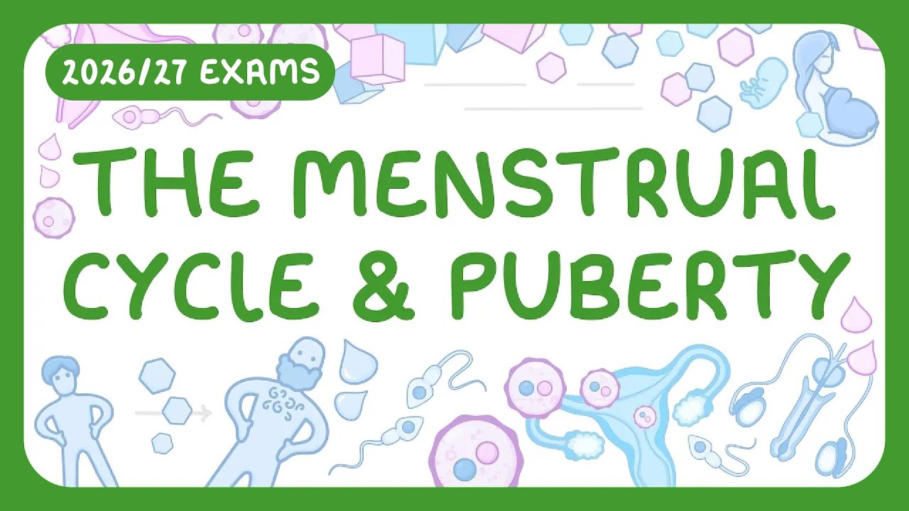 Understanding Puberty & the Menstrual Cycle: Hormone Guide