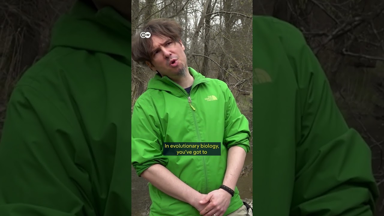 Calico Crayfish: Germany's Ecological Emergency