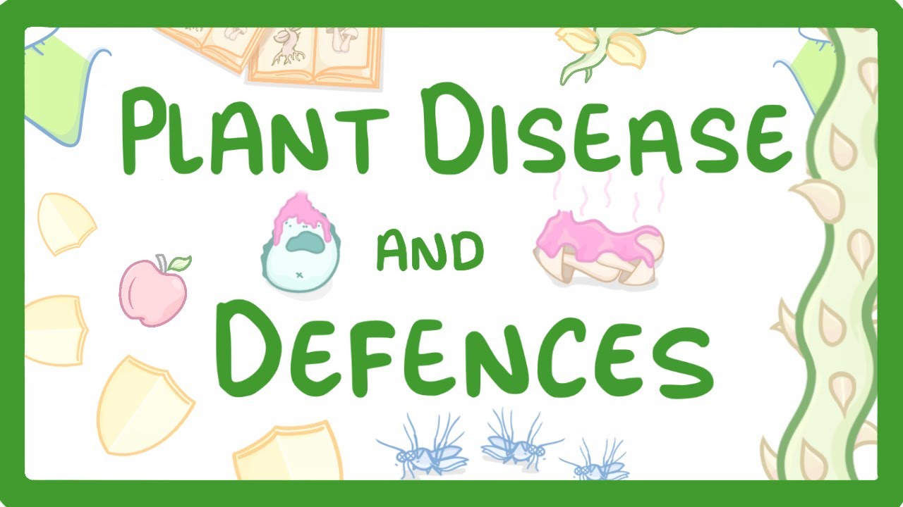 How to Identify Plant Diseases and Boost Natural Defenses