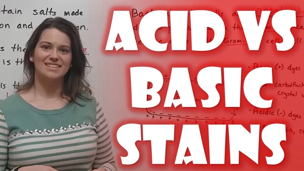 Acidic vs Basic Stains: Microbiology Guide with Examples