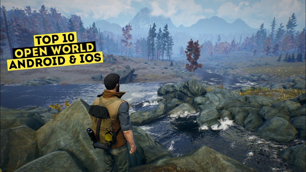 Video Transcript Empty: Next Steps & Solutions